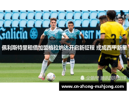 佩利斯特里租借加盟格拉纳达开启新征程 或成西甲新星