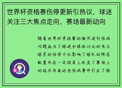 世界杯资格赛伤停更新引热议，球迷关注三大焦点走向，赛场最新动向